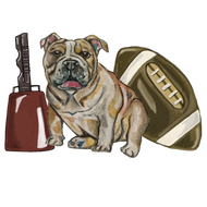 Bulldogs - Glitz ‘N’ Glam