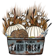 Farm fresh - Glitz ‘N’ Glam